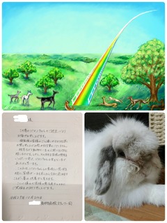 宇都宮 訂正シールブログ用.jpeg