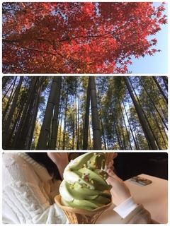 秋の京都遠足.jpeg