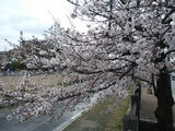 IMG00561.jpg
